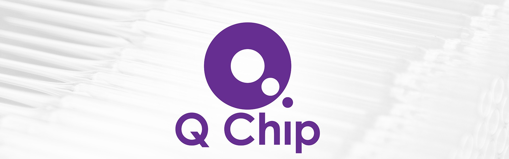 Q Chip Brightlands Venture Partners